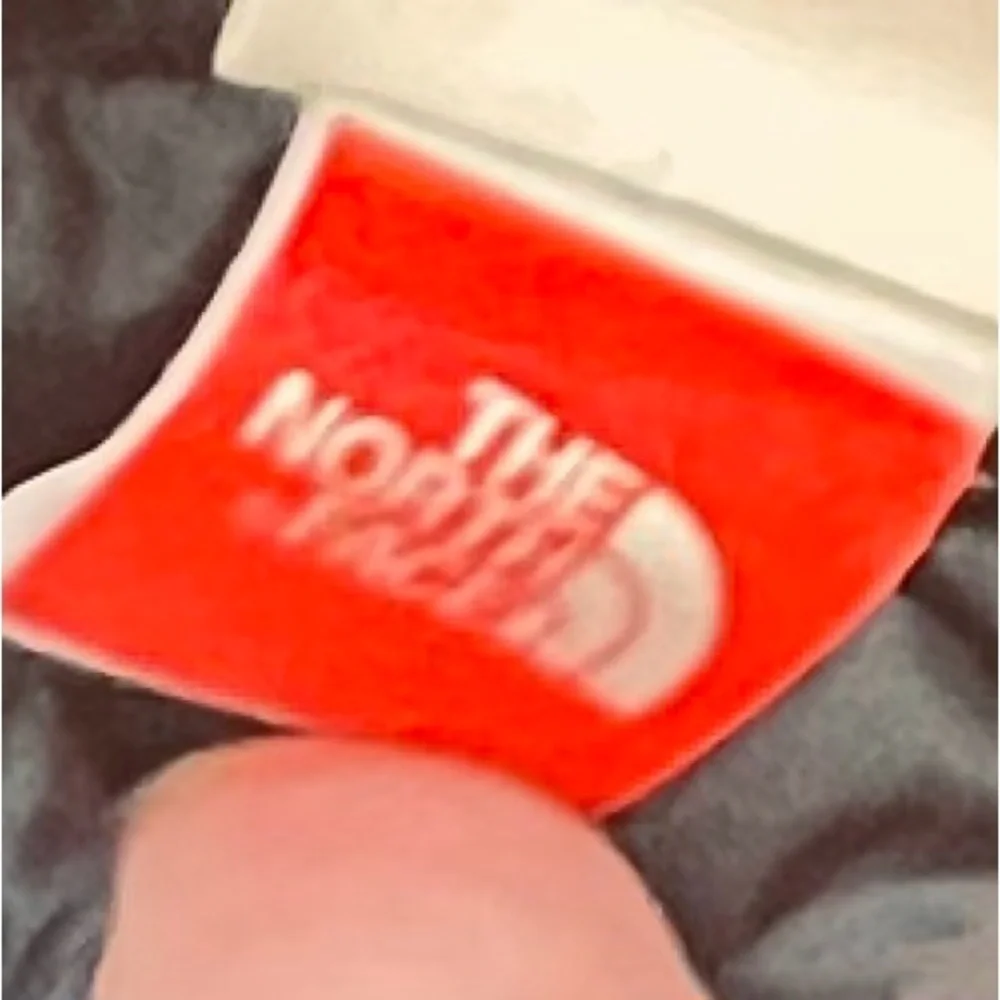 The North Face north face